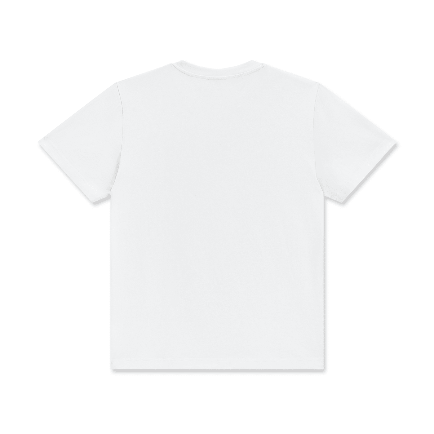SLEEKZ Classic Crew Tee - SLEEKZ