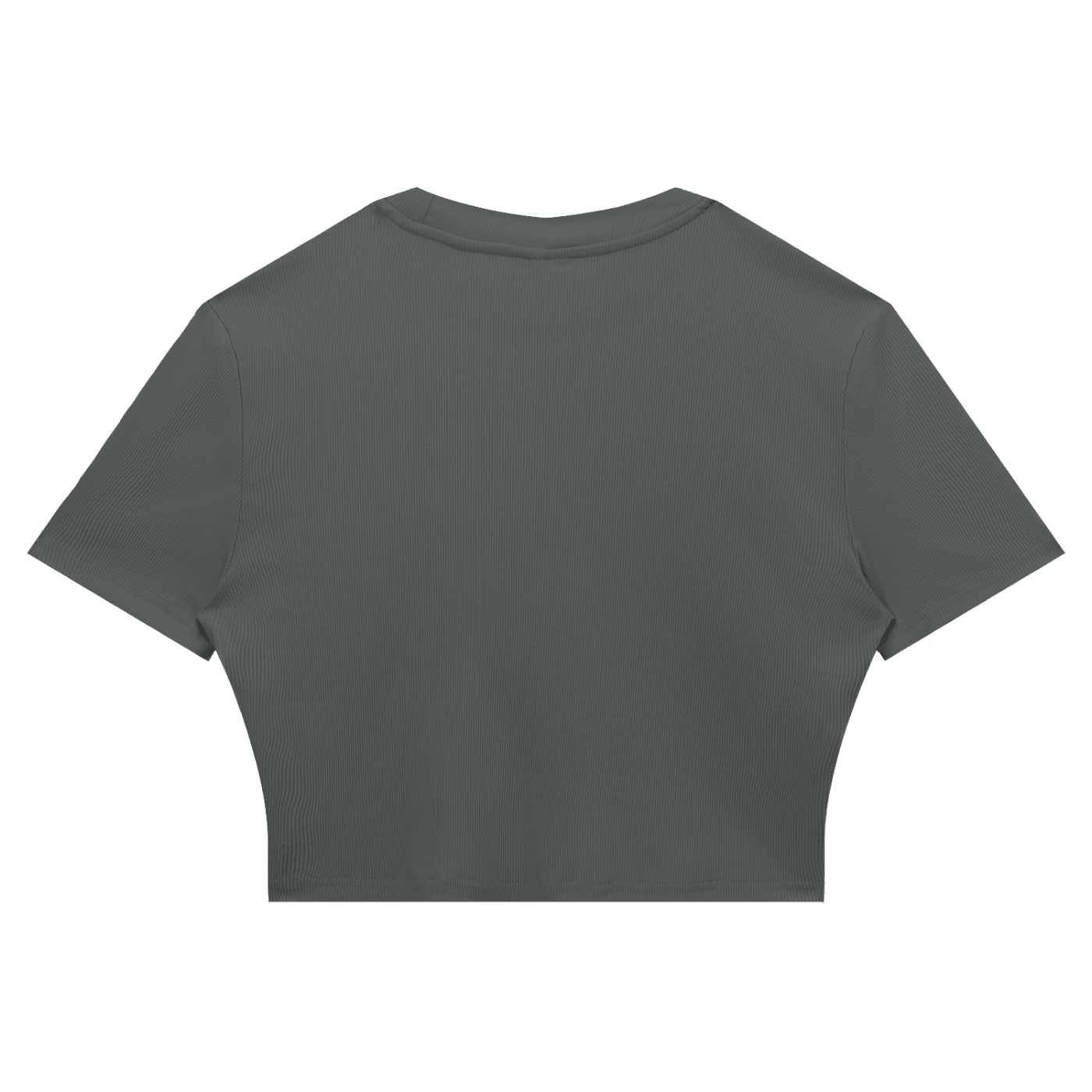 Women's Slim Ribbed Crop T-Shirt - SLEEKZ