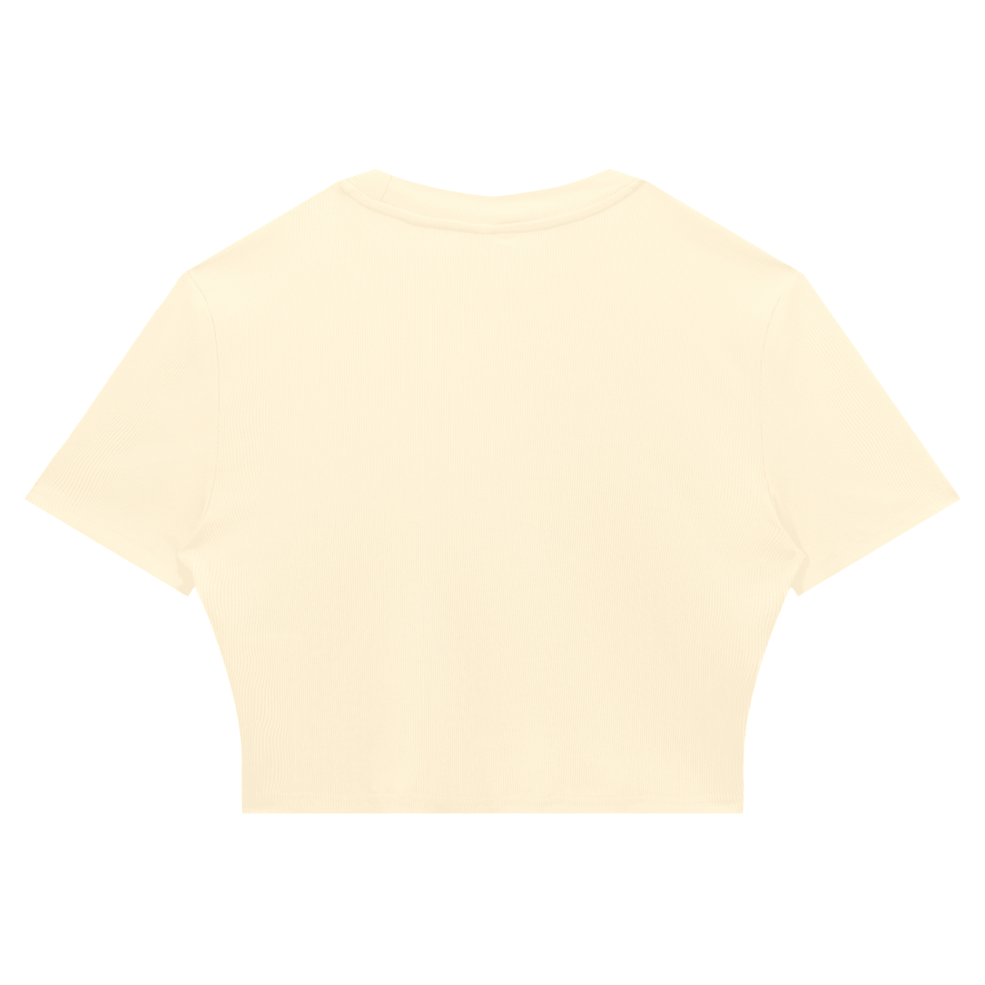 Women's Slim Ribbed Crop T-Shirt - SLEEKZ
