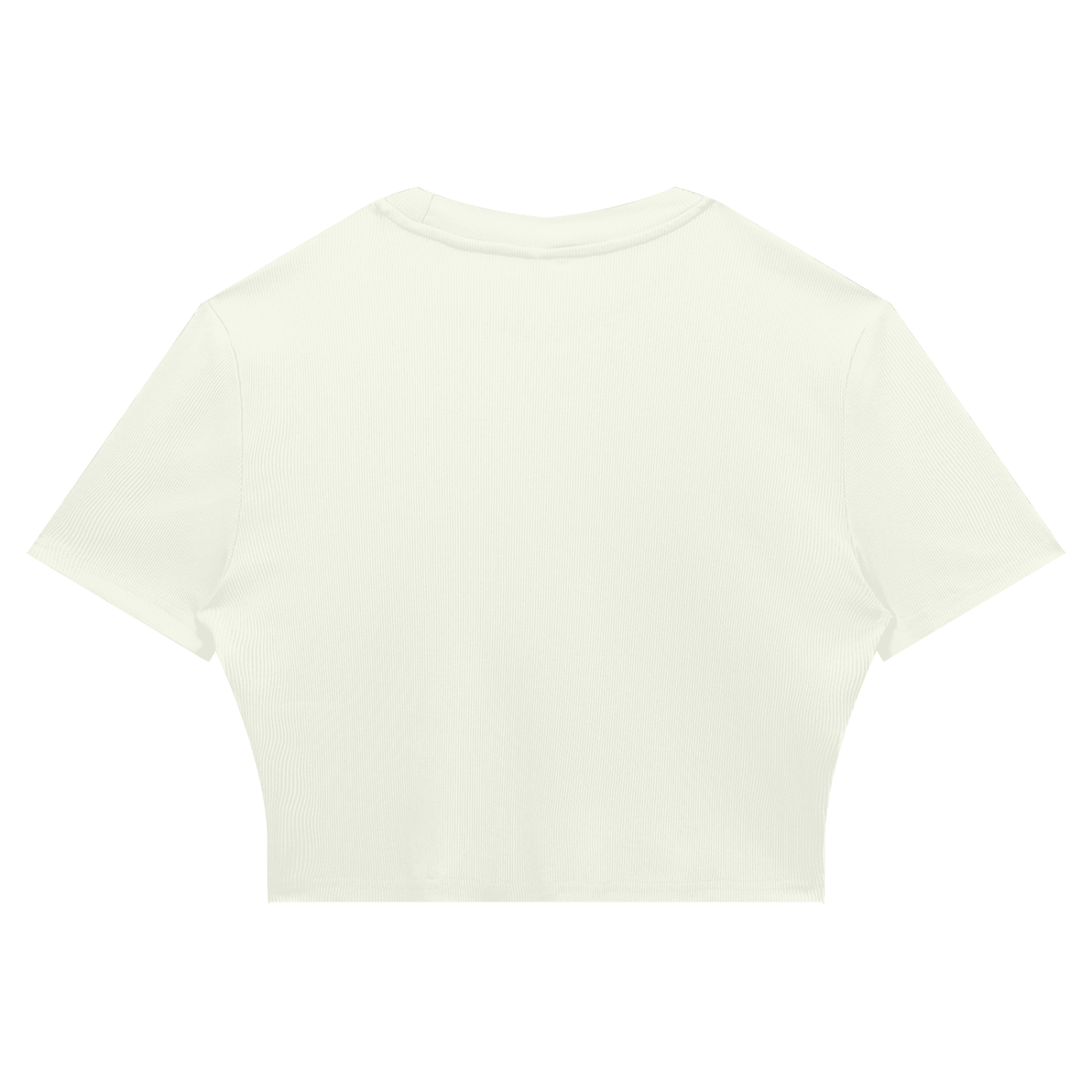 Women's Slim Ribbed Crop T-Shirt - SLEEKZ