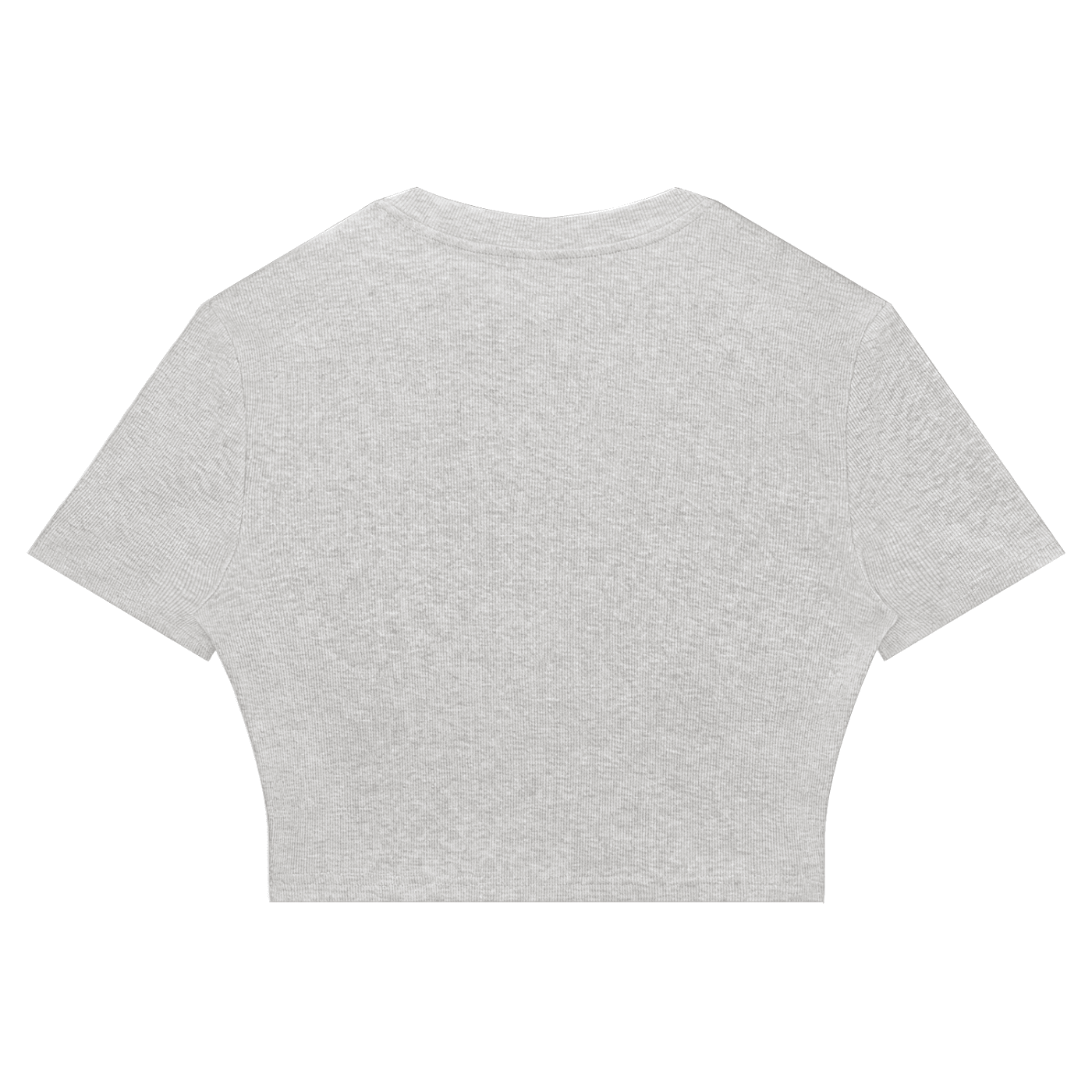 Women's Slim Ribbed Crop T-Shirt - SLEEKZ