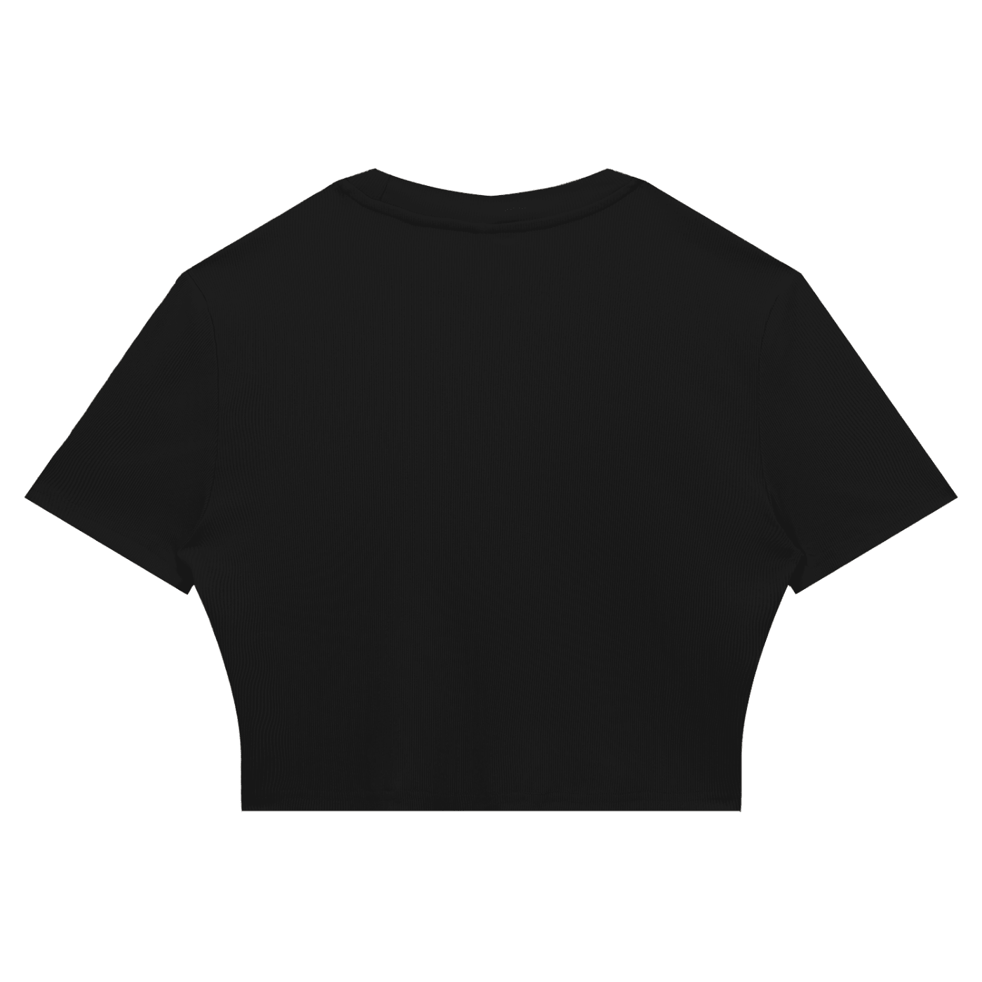 Women's Slim Ribbed Crop T-Shirt - SLEEKZ
