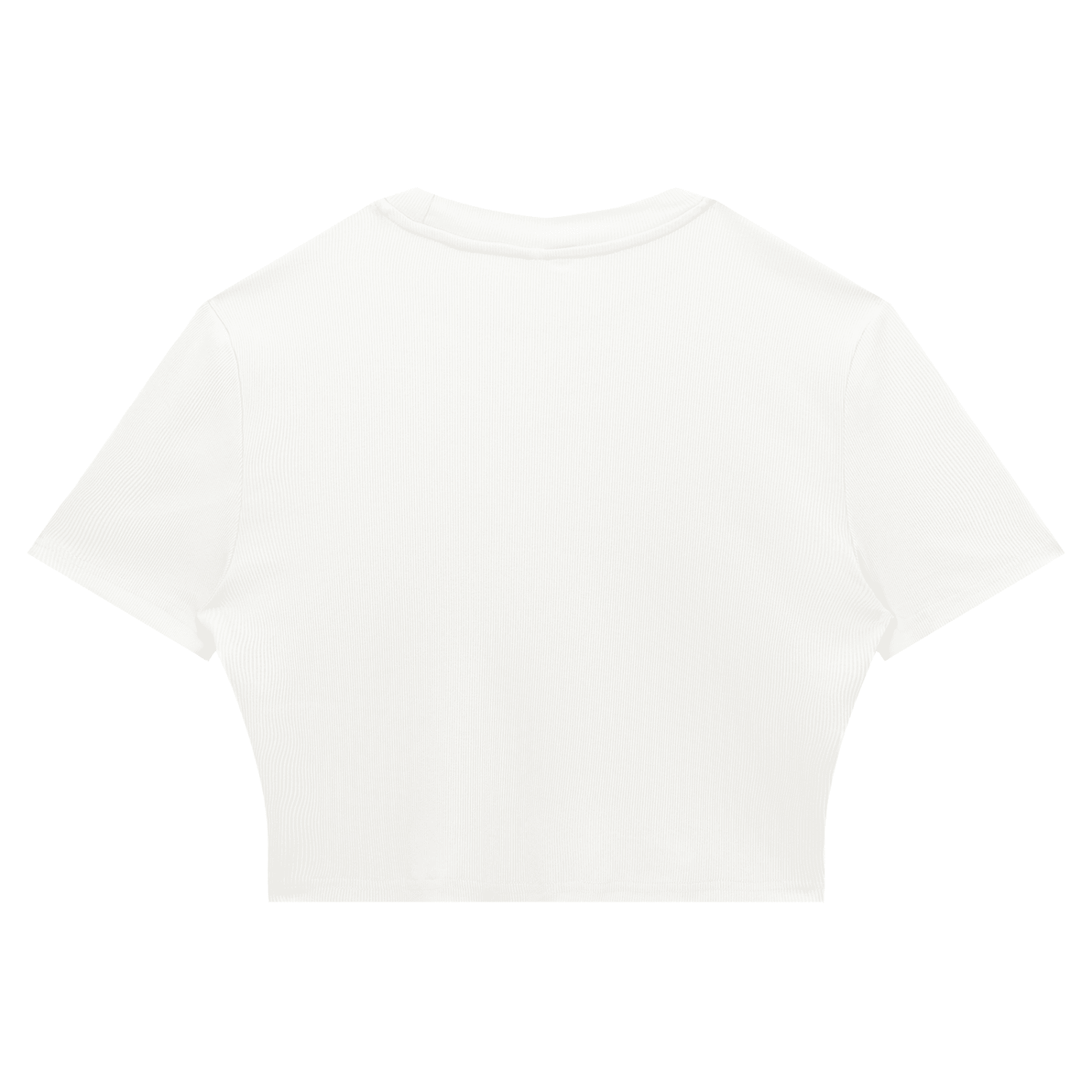 Women's Slim Ribbed Crop T-Shirt - SLEEKZ
